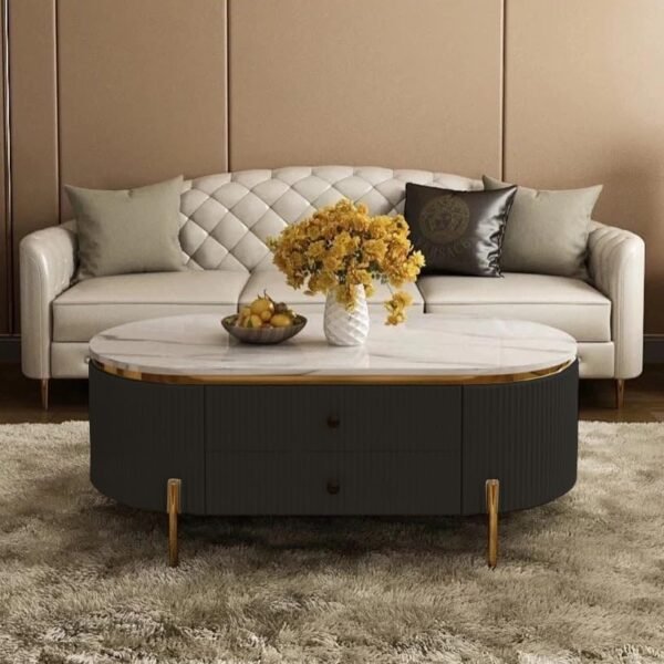 PAAM WOOD Tesla Centre Table, 42x24x17 Inch, White Marble Top with Gold Accents, 2-Drawer Storage, Oval Design, Waterproof Plywood, PVD Legs, Modern Coffee Table for Living Room or Entryway (Black)